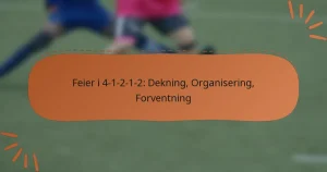 Feier i 4-1-2-1-2: Dekning, Organisering, Forventning